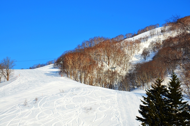 北海道スキー場でオープン最速の場所どこ？営業期間はいつからいつまでかも徹底調査！